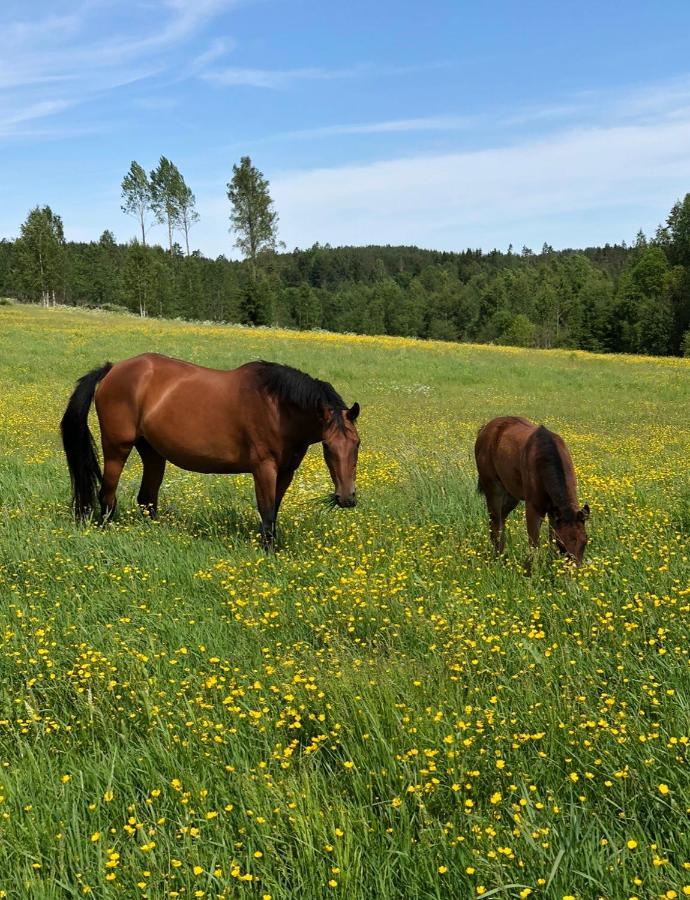 Апартаменты Torpgarden Oennerudsvaegen 56 Турсбю Экстерьер фото